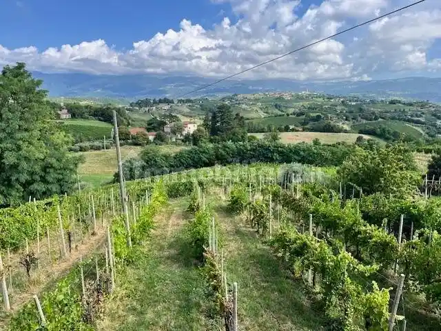 Rustico - Casale in vendita a Breganze