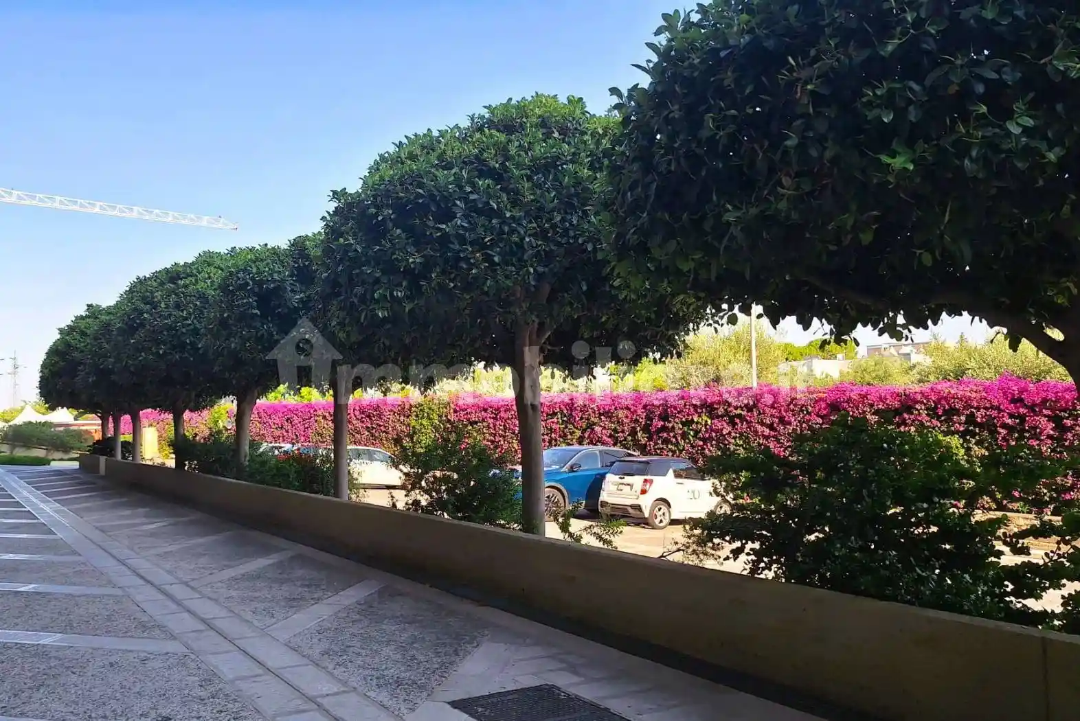 Appartamento in vendita a Bari