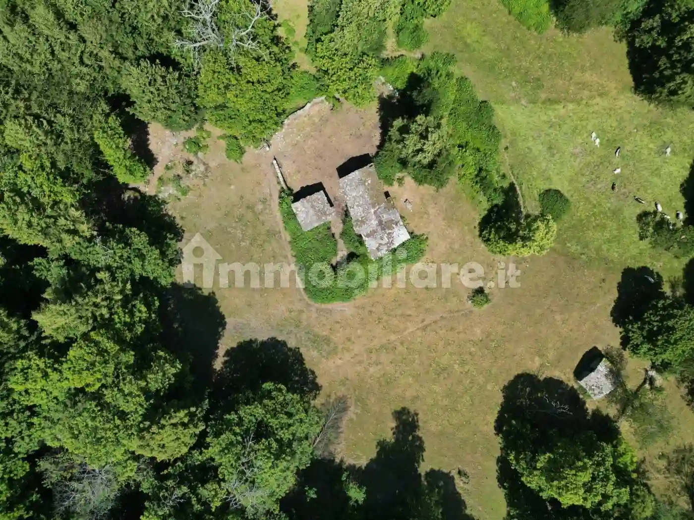 Rustico - Casale - foto 2