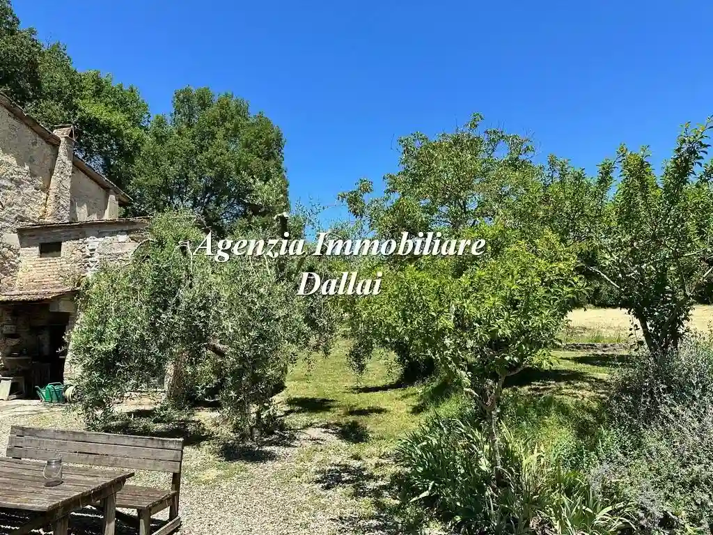 Rustico - Casale - foto 5