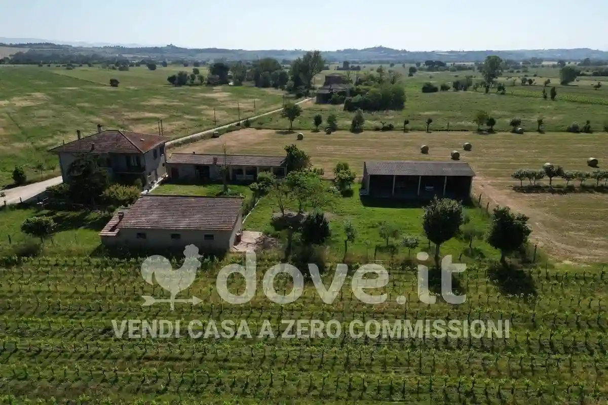 Rustico - Casale - foto 4