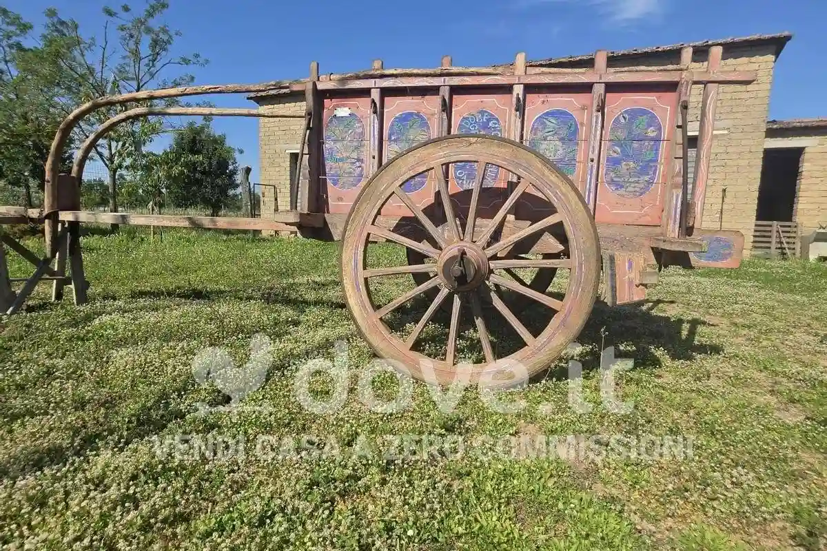 Rustico - Casale - foto 5