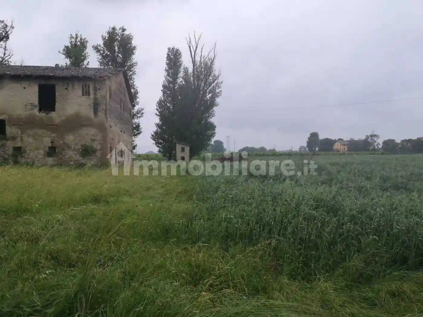 Palazzo - Edificio - foto 4