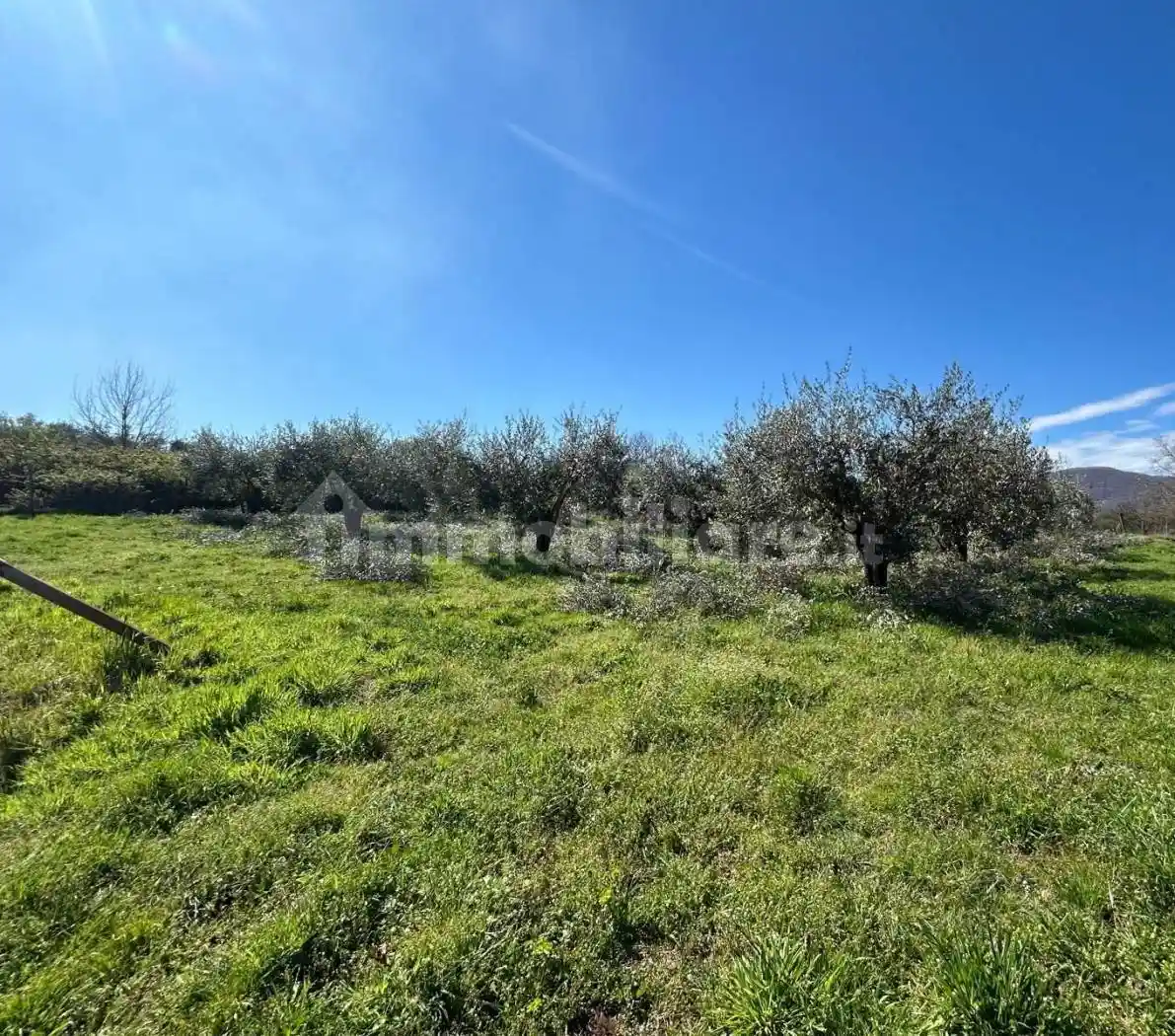Rustico - Casale in vendita a San Cesareo