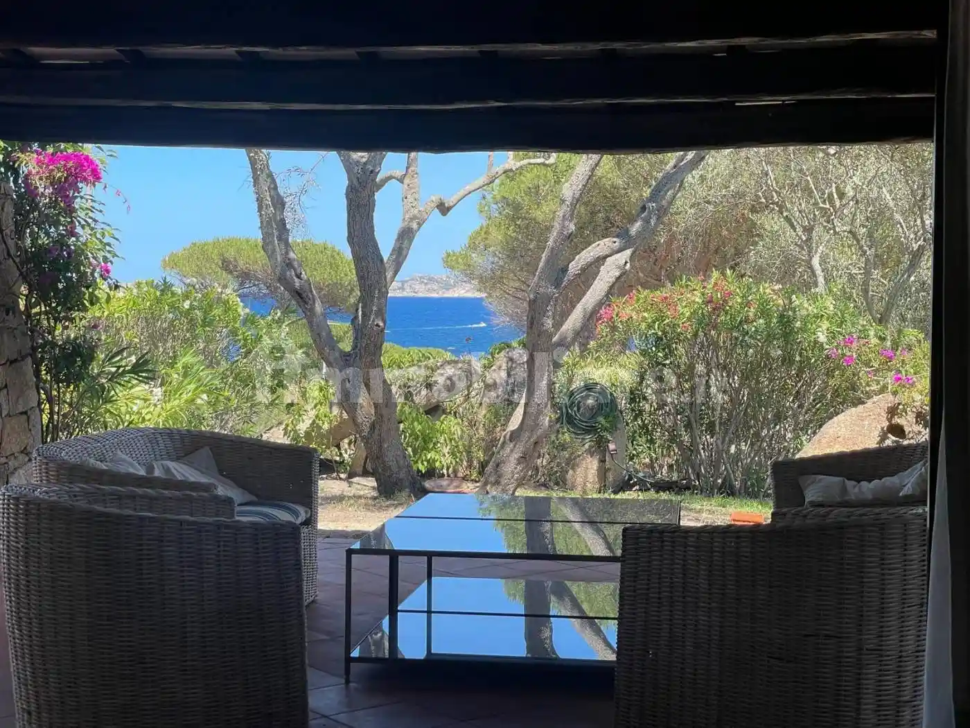 Villa in affitto a Santa Teresa Gallura