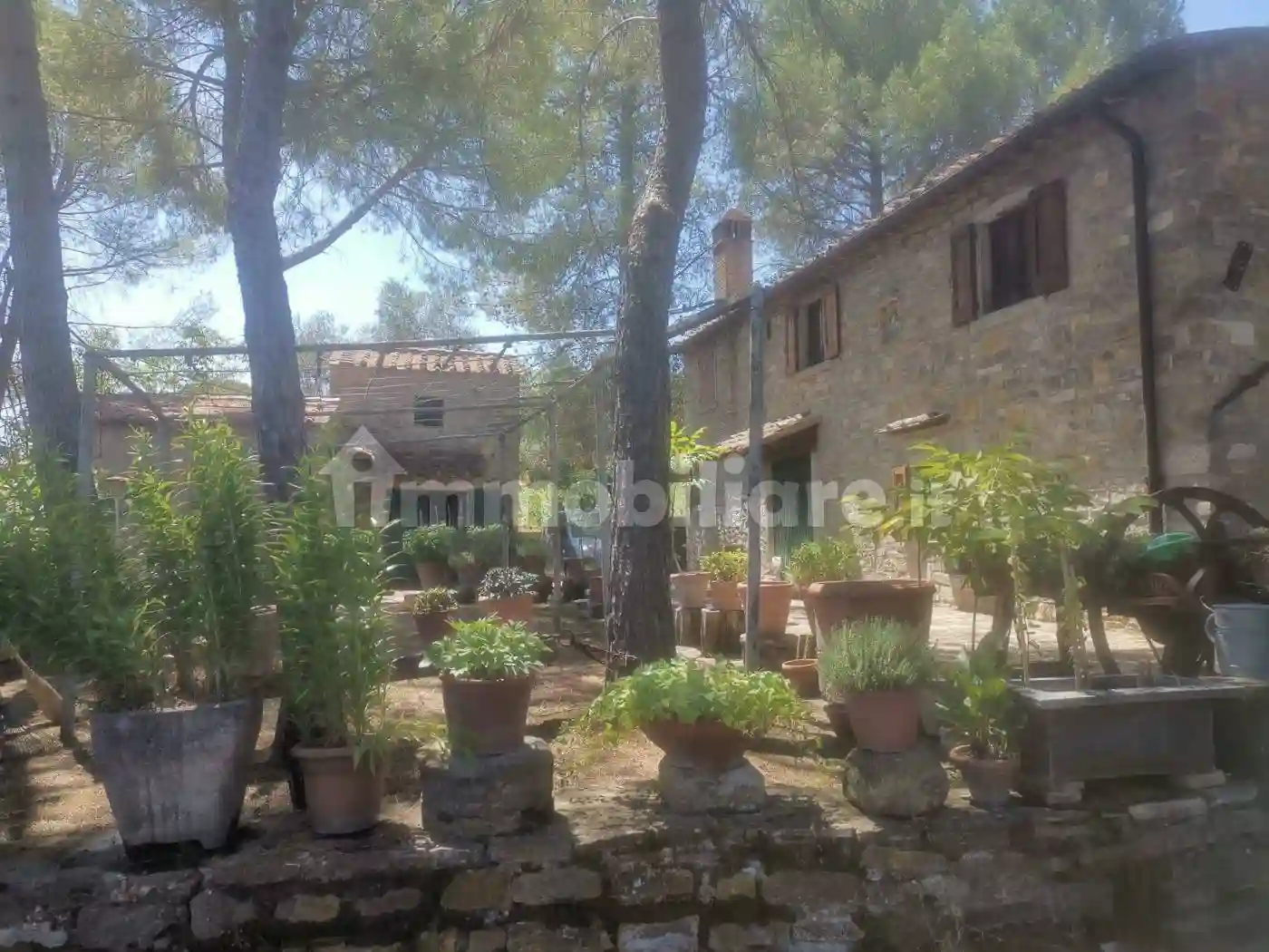 Rustico - Casale - foto 3