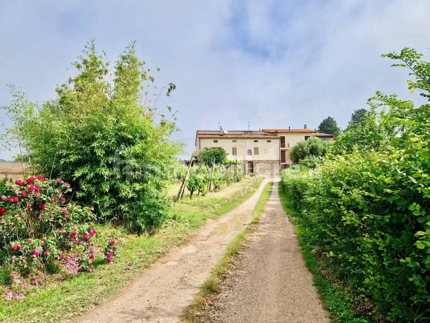 Rustico - Casale in vendita a Monte Castello di Vibio