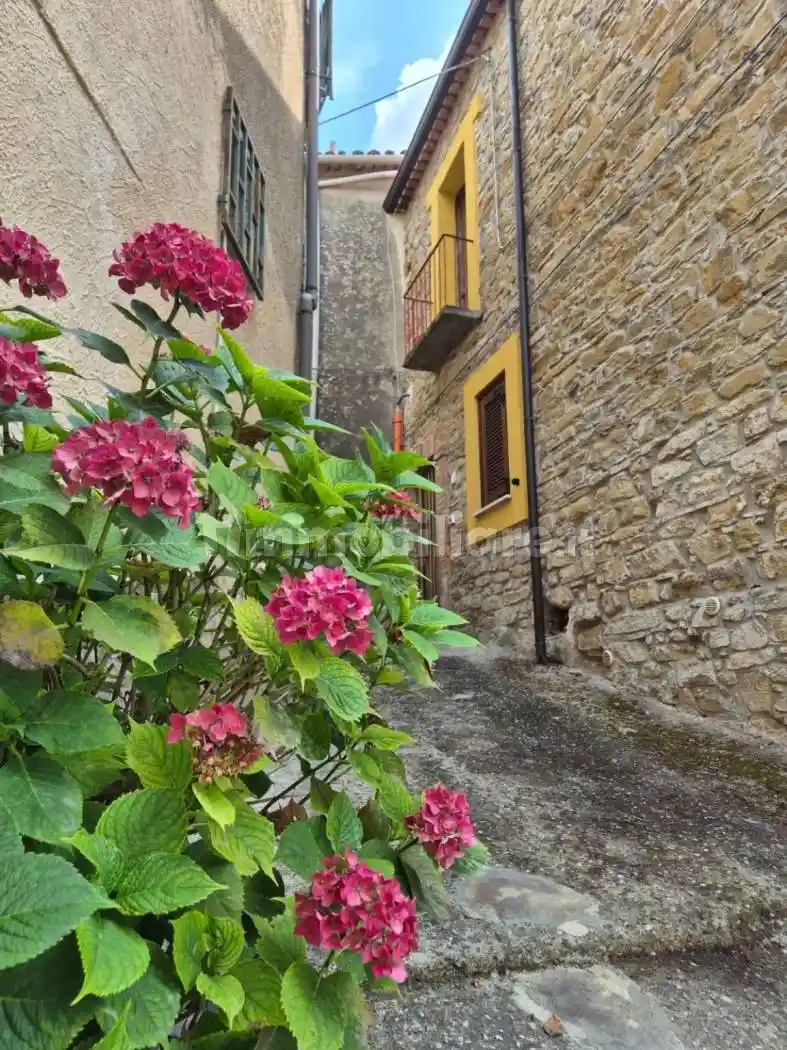 Casa indipendente in vendita a Prignano Cilento