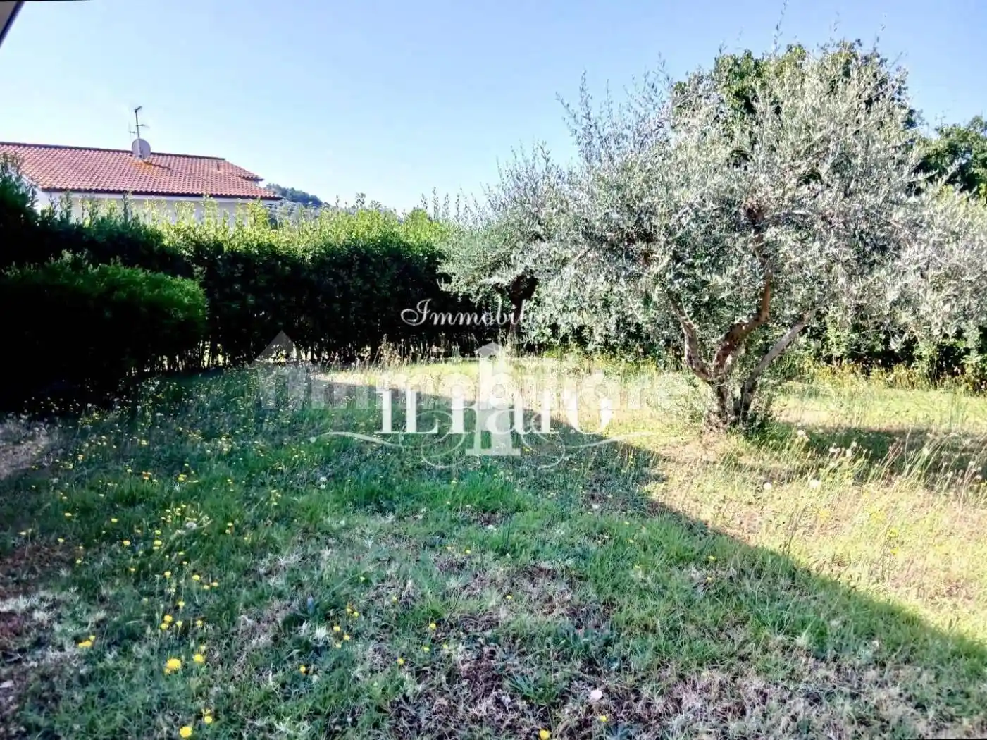 Casa indipendente in vendita a Massarosa