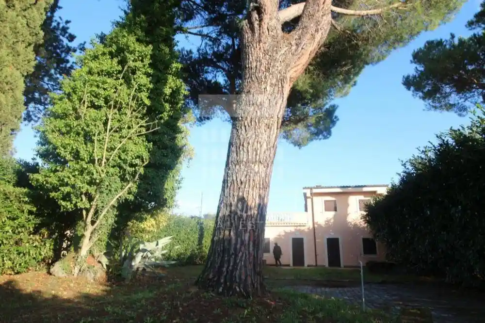 Villa in affitto a Roma