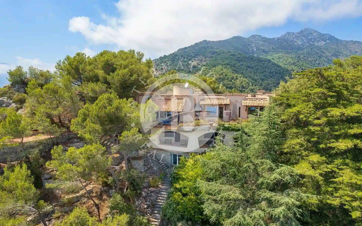 Villa - foto 2