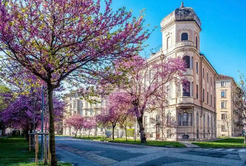 Appartamento in affitto a Torino