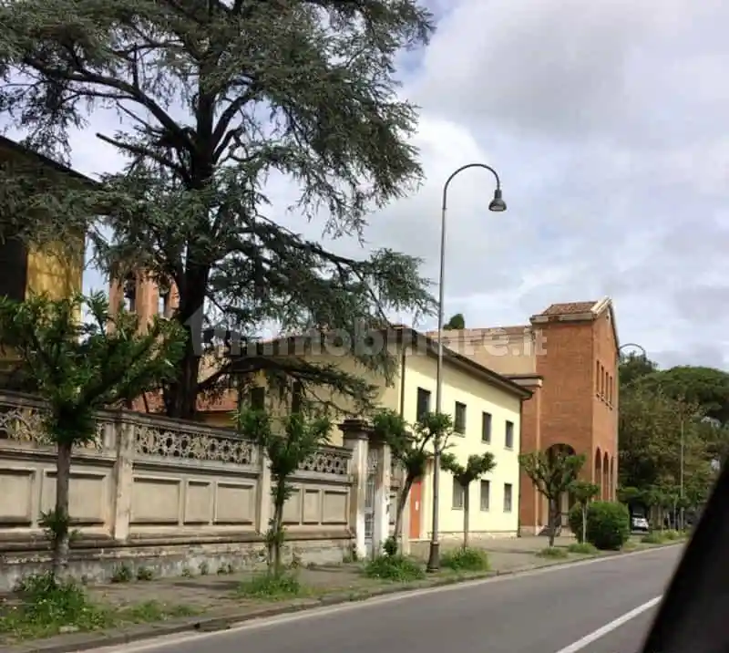 Appartamento in affitto a Pisa