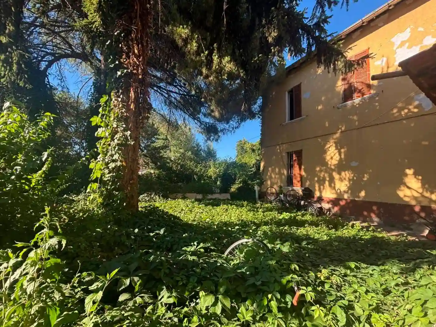 Palazzo - Edificio - foto 2