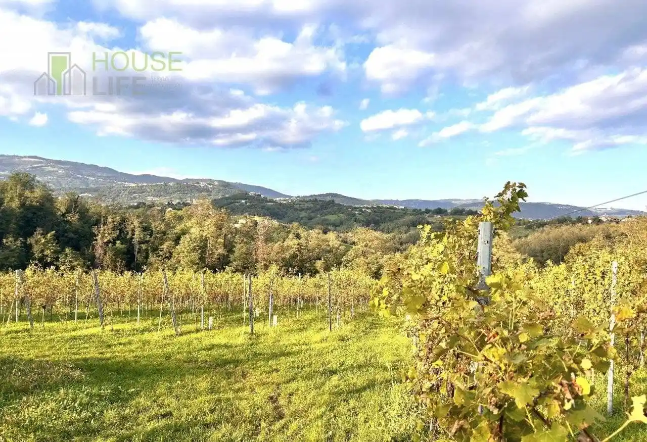 Rustico - Casale in vendita a Fara Vicentino