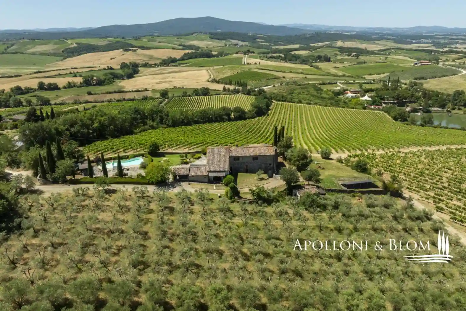 Villa - foto 4