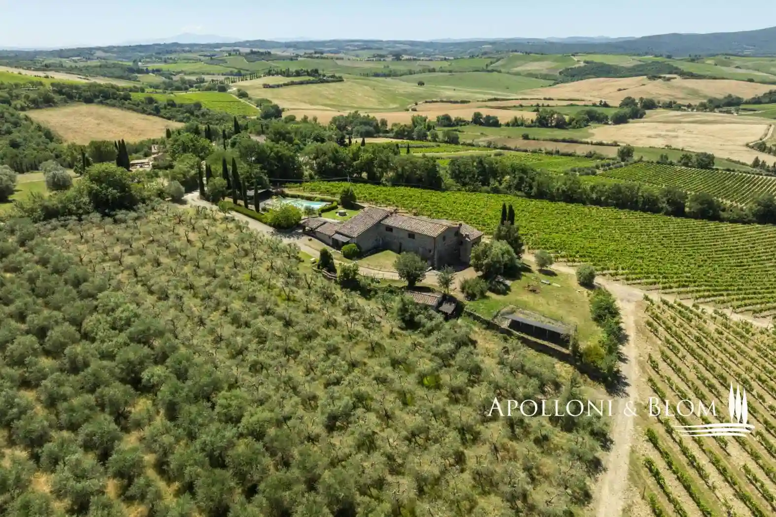 Villa - foto 5