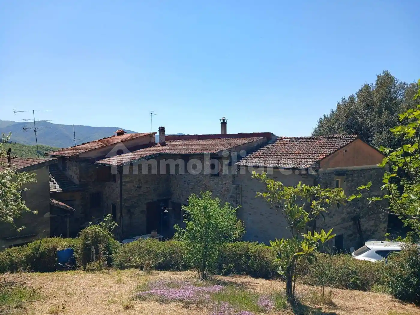 Rustico - Casale in affitto a Dicomano