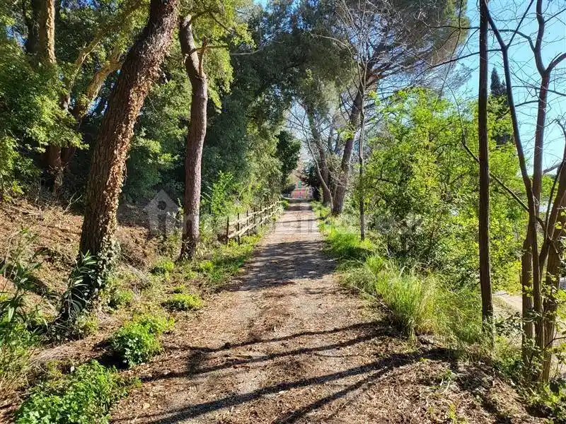 Appartamento in vendita a Riparbella