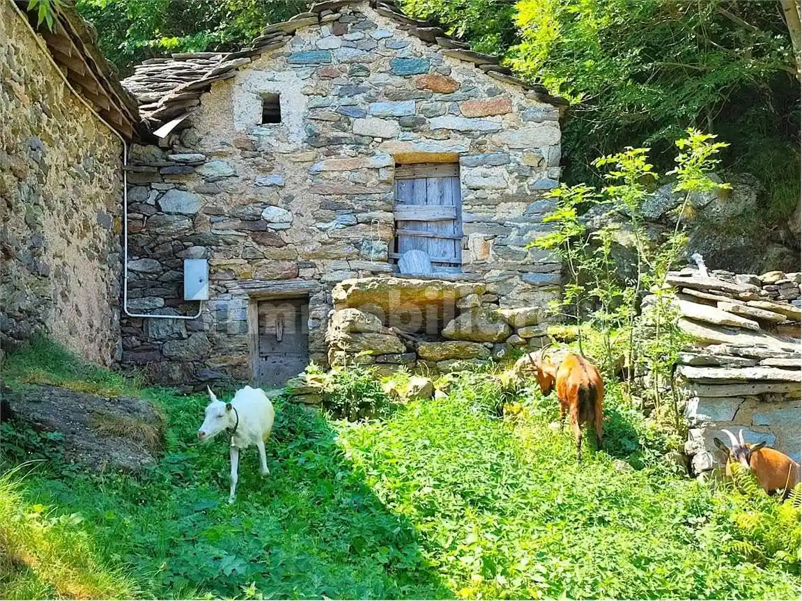 Rustico - Casale in vendita a Donnas