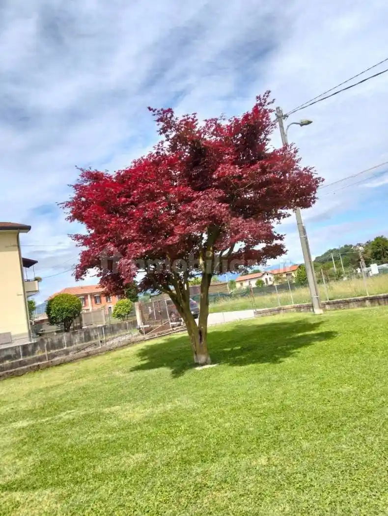 Villa in affitto a Brebbia