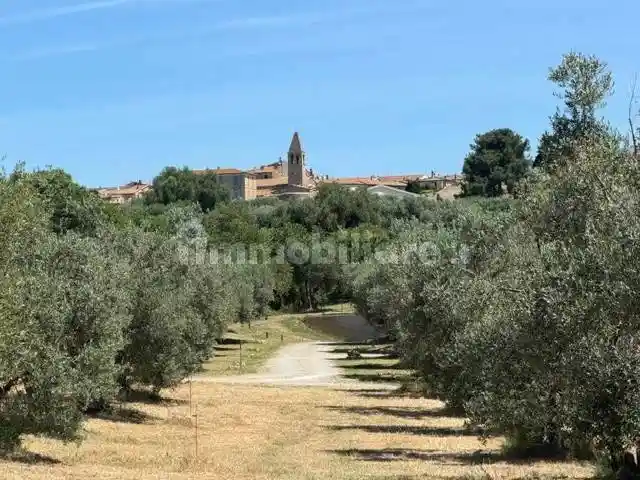 Rustico - Casale in vendita a Magliano in Toscana