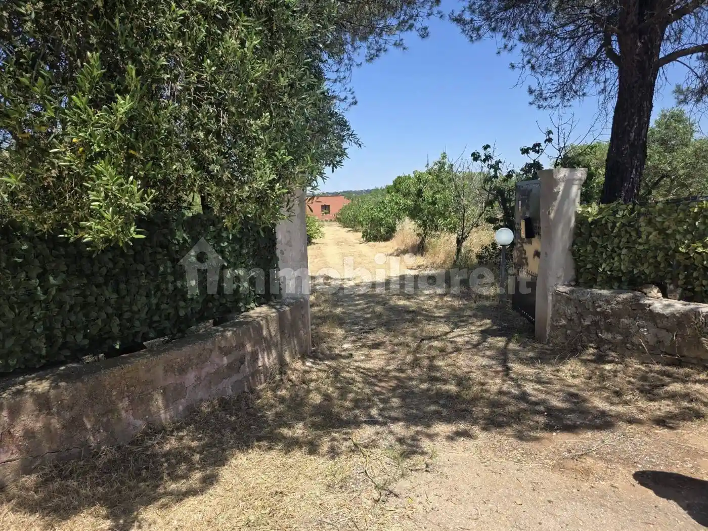 Rustico - Casale in affitto a Santeramo in Colle