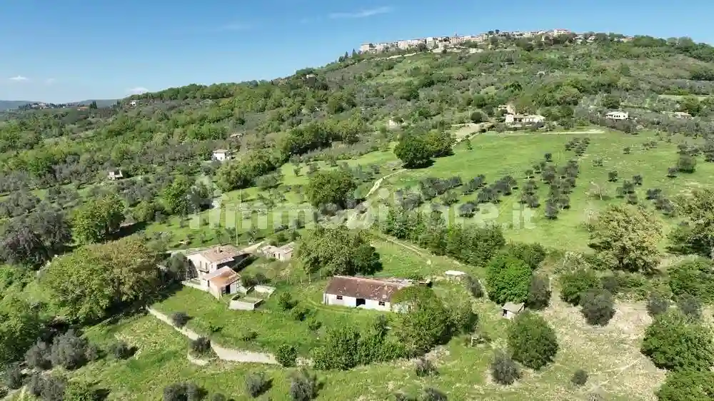 Rustico - Casale - foto 5