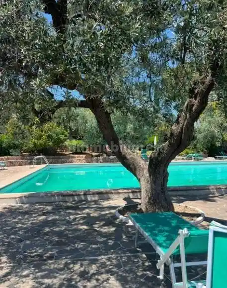 Appartamento in affitto a Monte Argentario