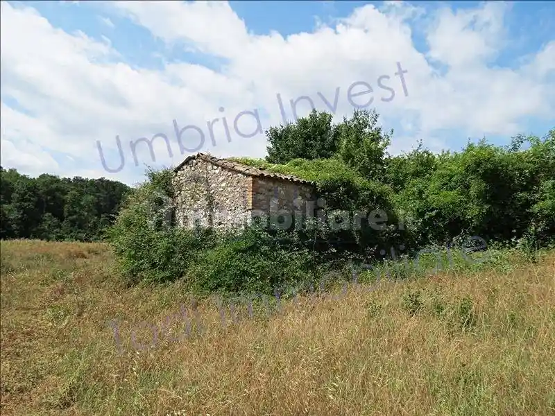 Rustico - Casale in vendita a Montecchio