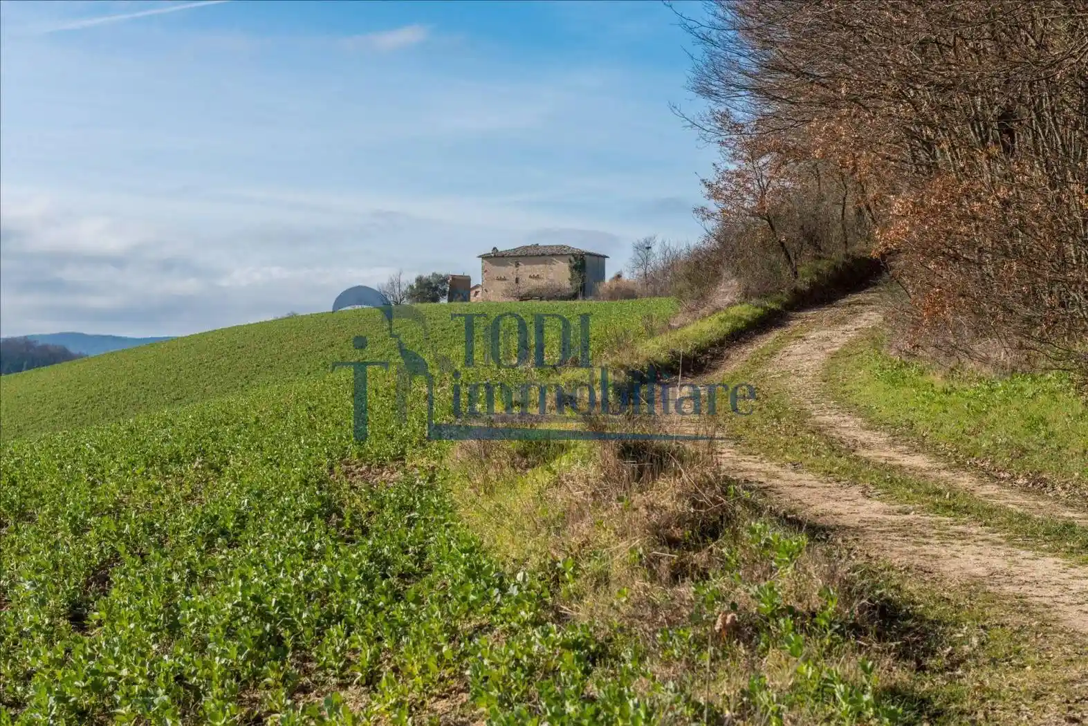 Rustico - Casale in vendita a Todi