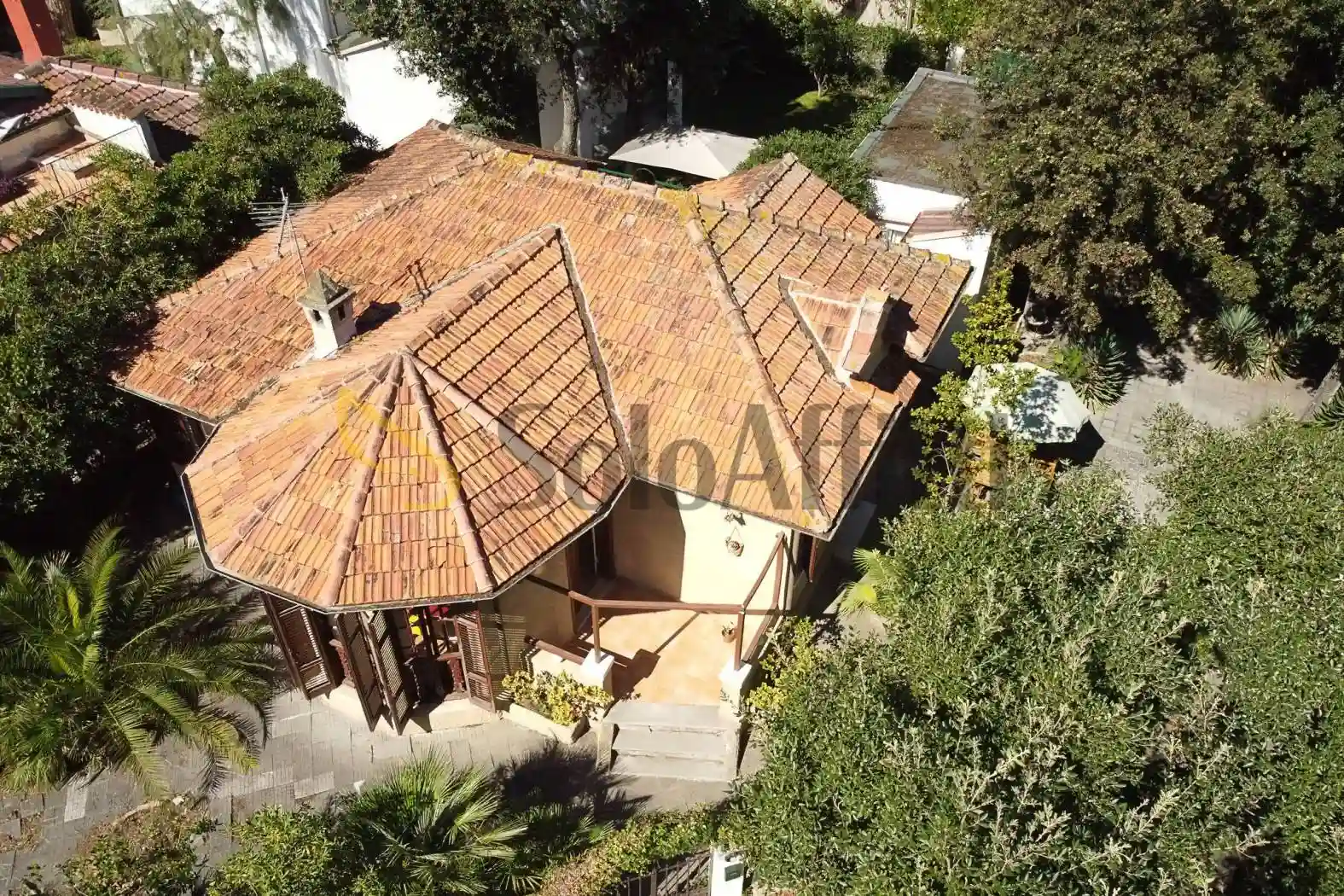 Villa - foto 3