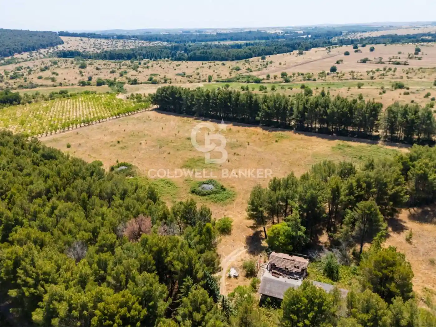 Rustico - Casale in vendita a Andria