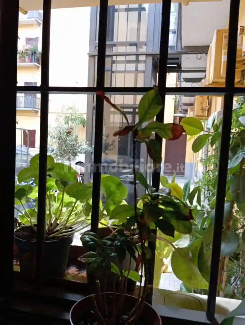 Loft - foto 5