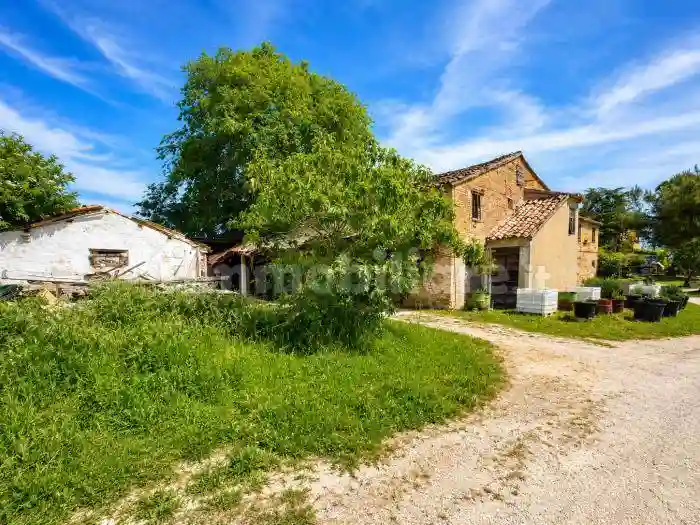 Rustico - Casale - foto 5