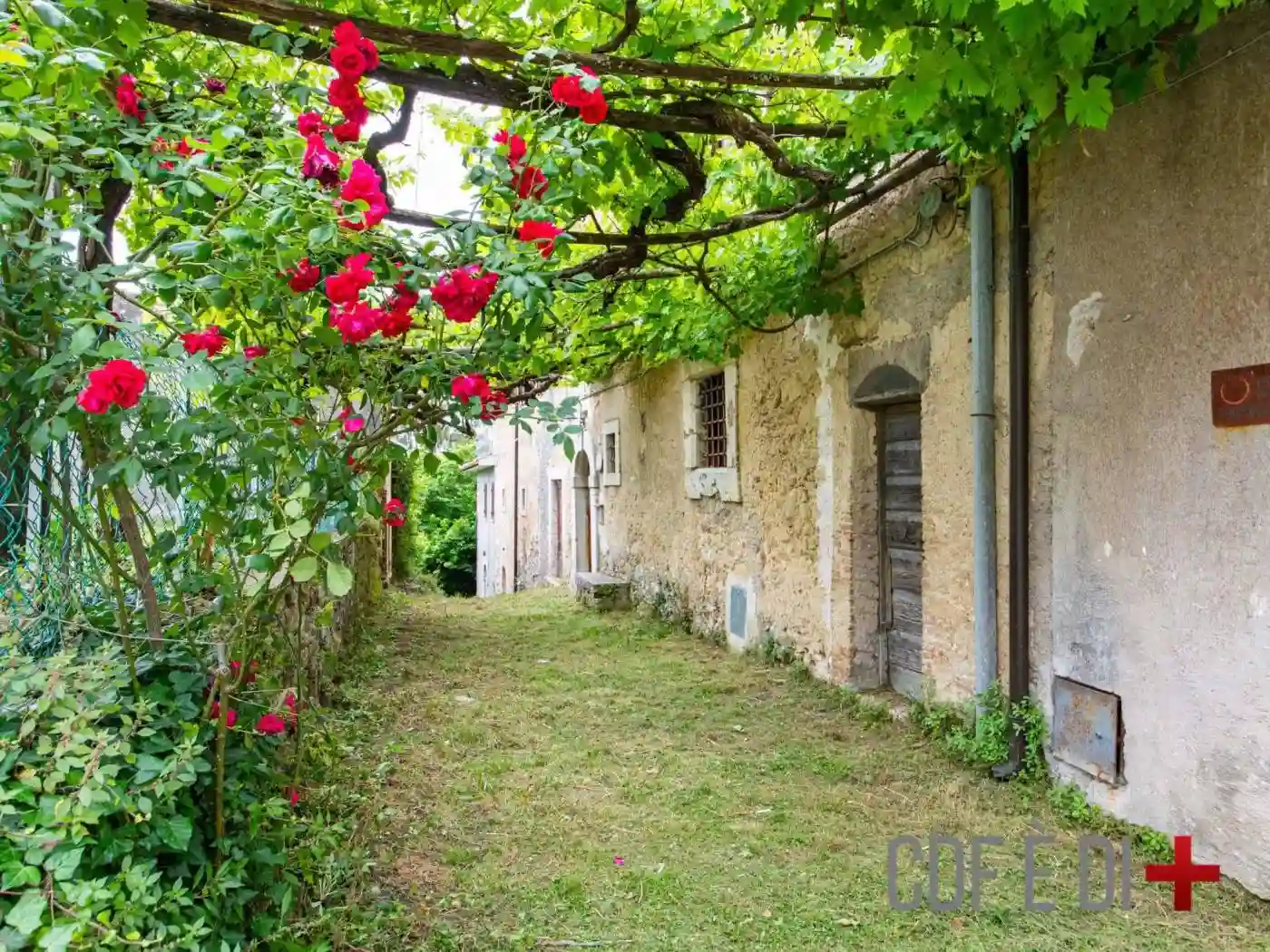 Rustico - Casale - foto 3