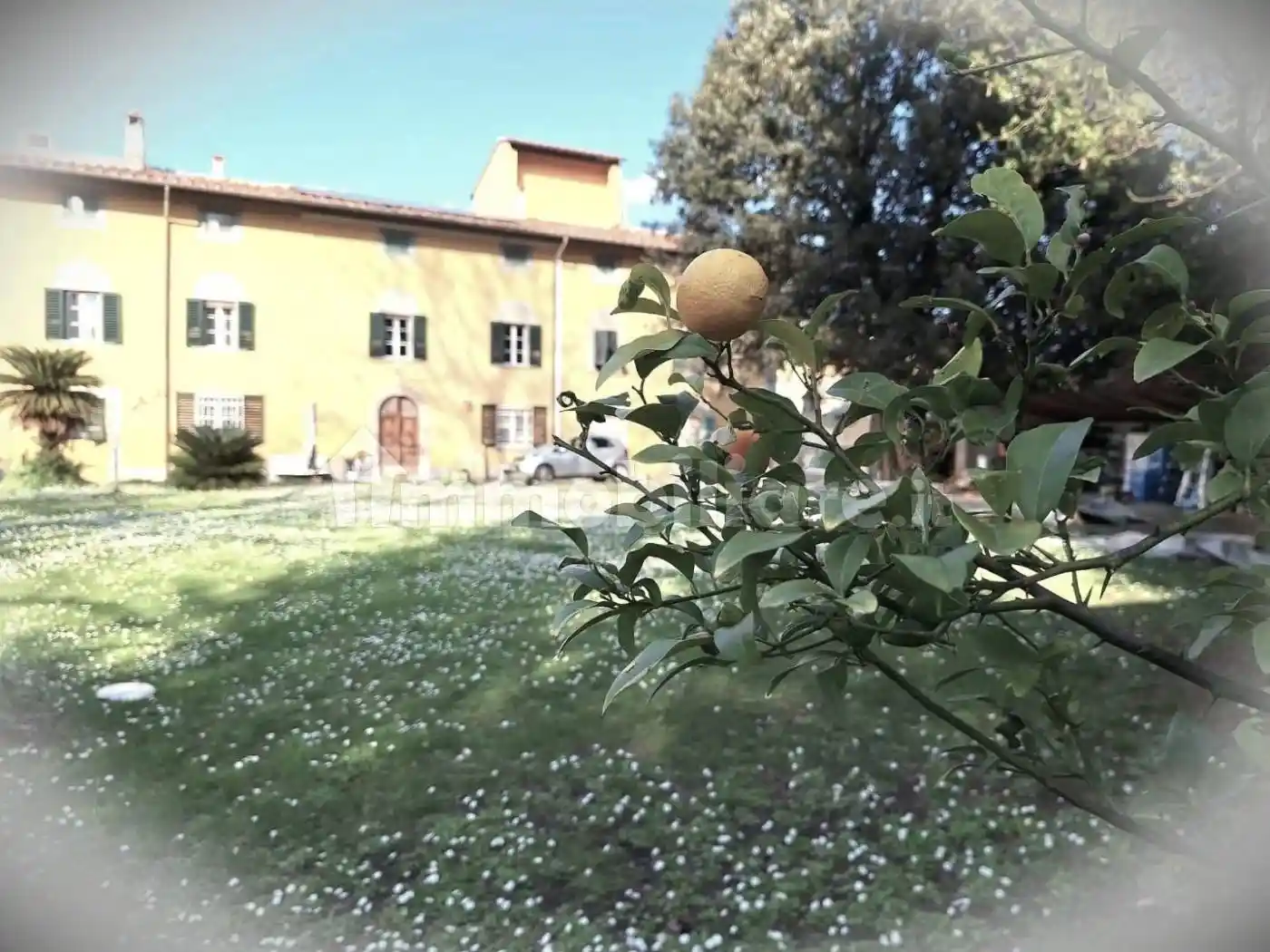 Casa indipendente in vendita a Cascina