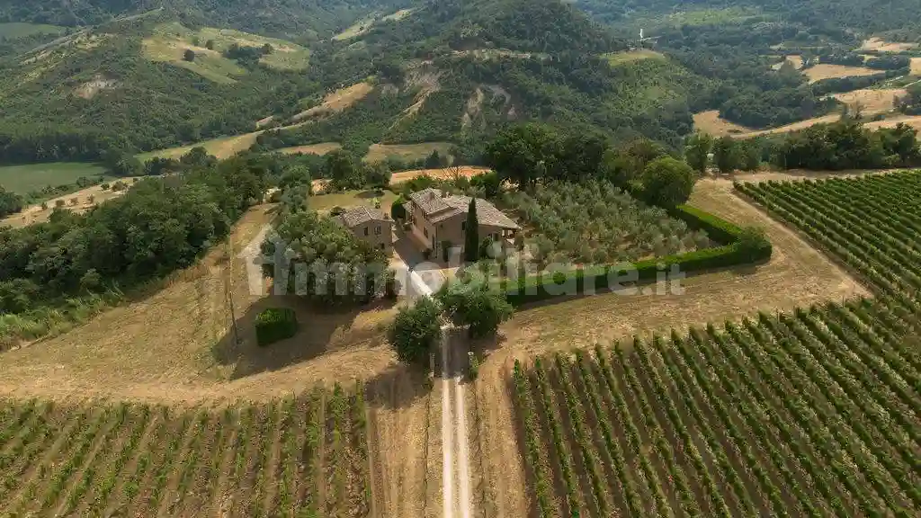 Rustico - Casale - foto 2