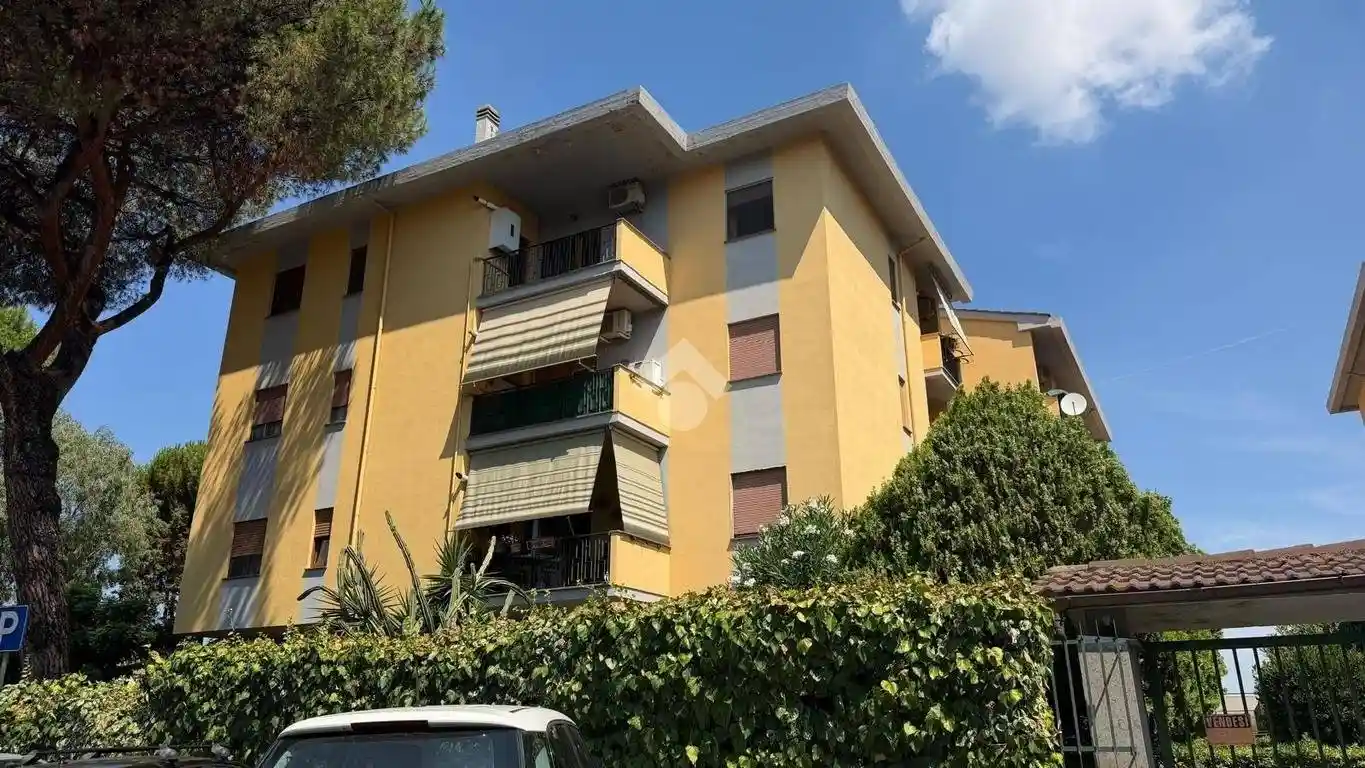 Appartamento in affitto a Marino