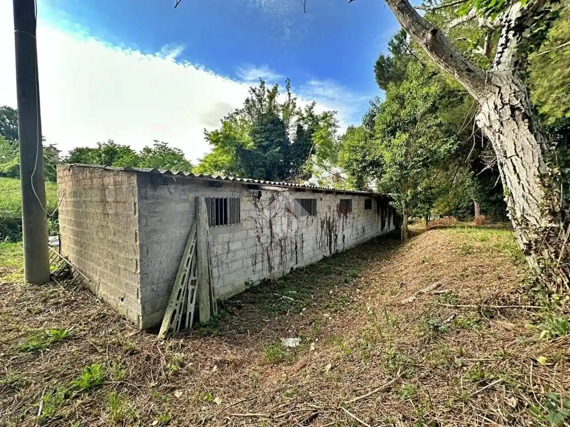Rustico - Casale in vendita a Tavullia