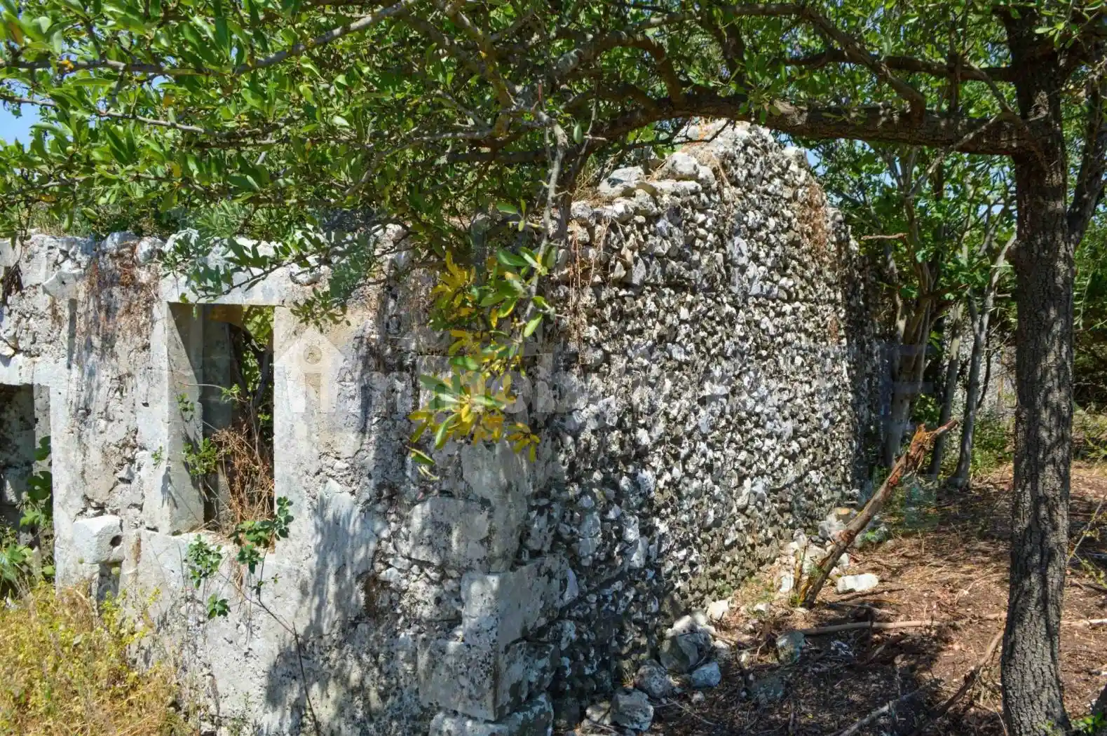 Rustico - Casale in vendita a Noto