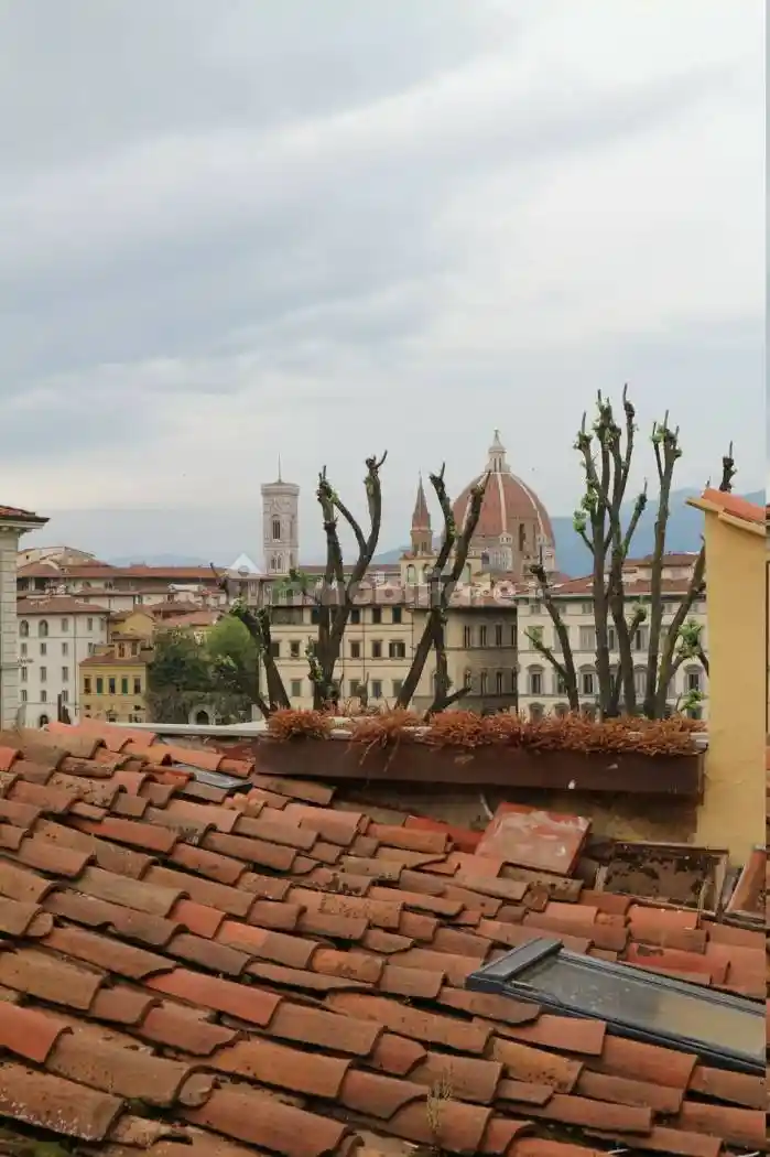 Appartamento in affitto a Firenze