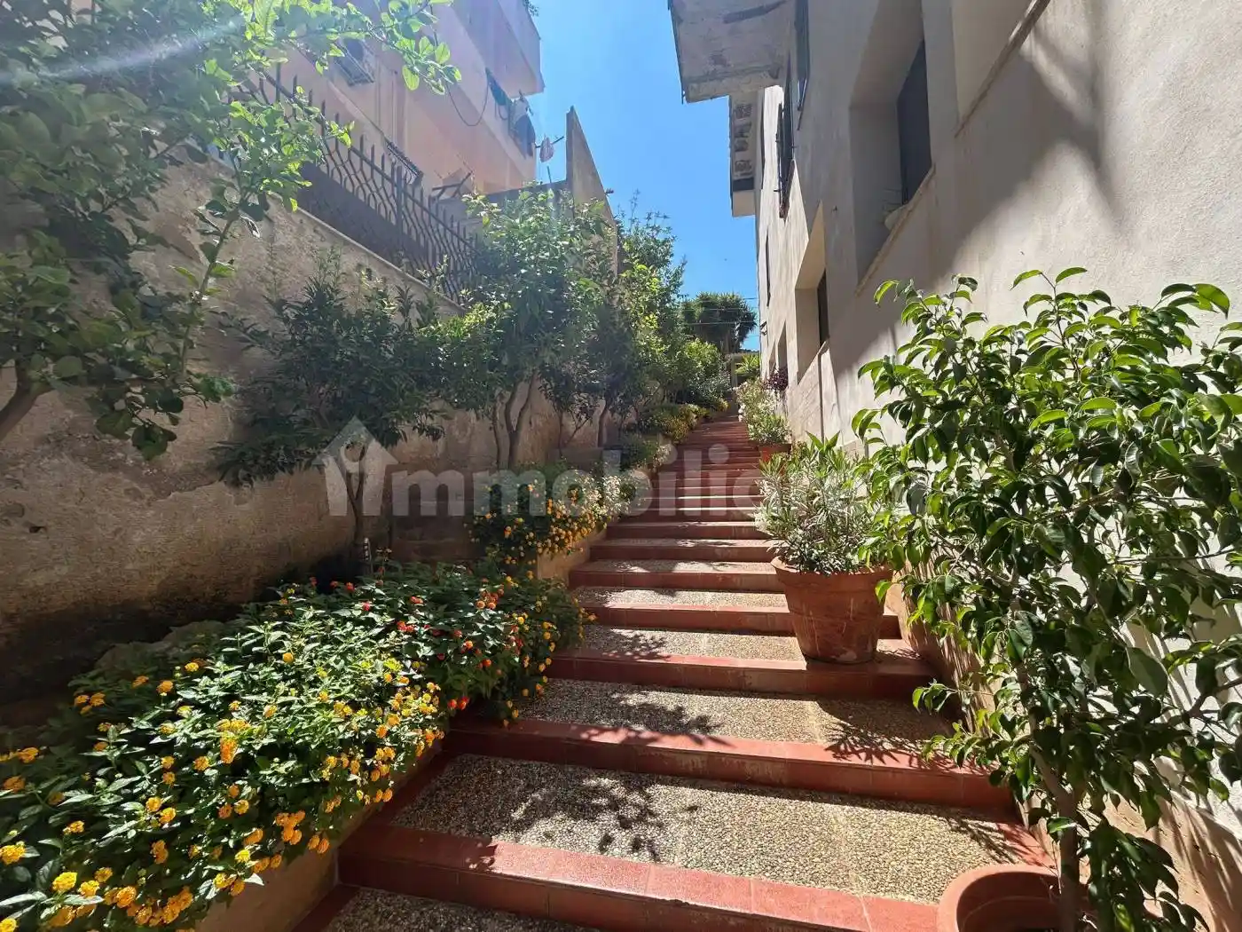 Appartamento in affitto a Palermo