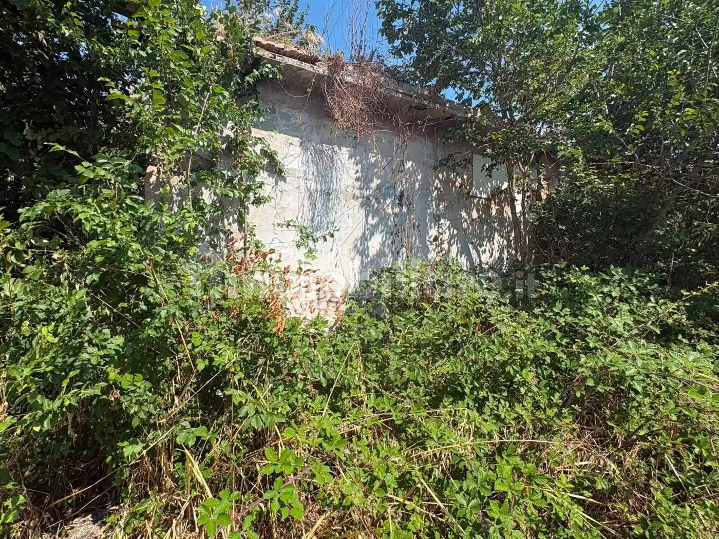 Rustico - Casale in vendita a Pietrelcina