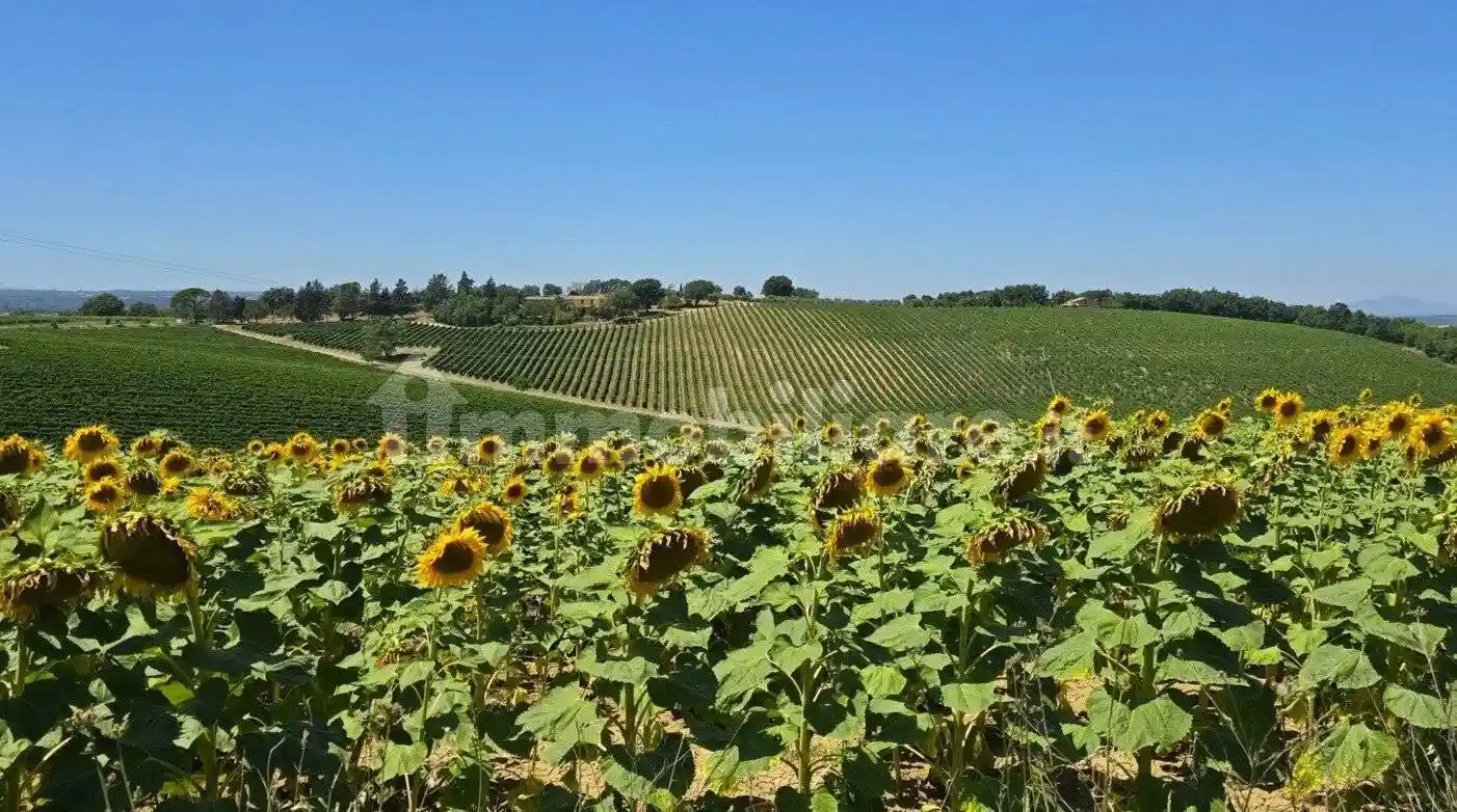 Rustico - Casale in vendita a Baschi