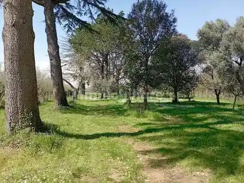 Villa in vendita a Carbognano