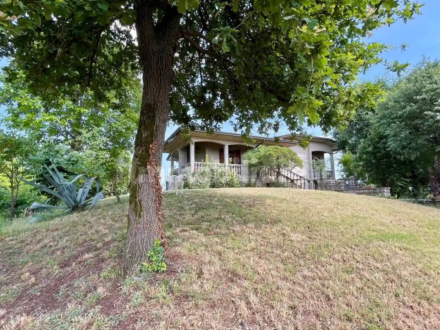 Villa - foto 5