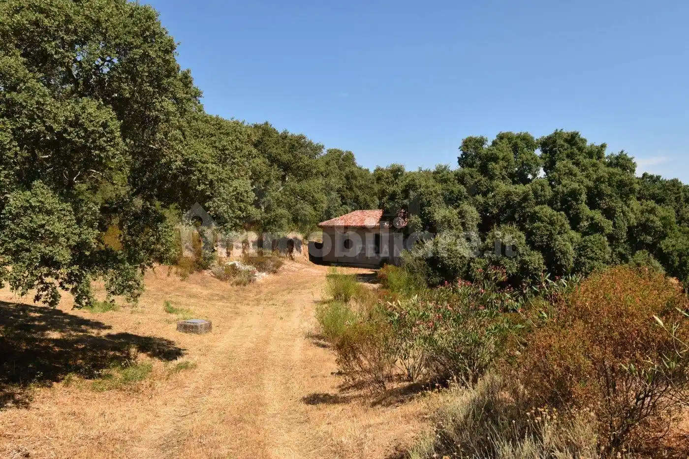 Rustico - Casale in vendita a Telti