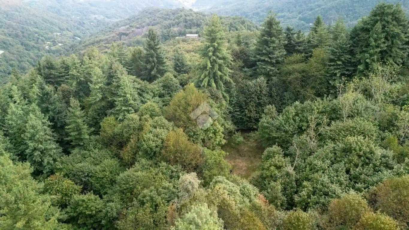 Rustico - Casale in vendita a Barge