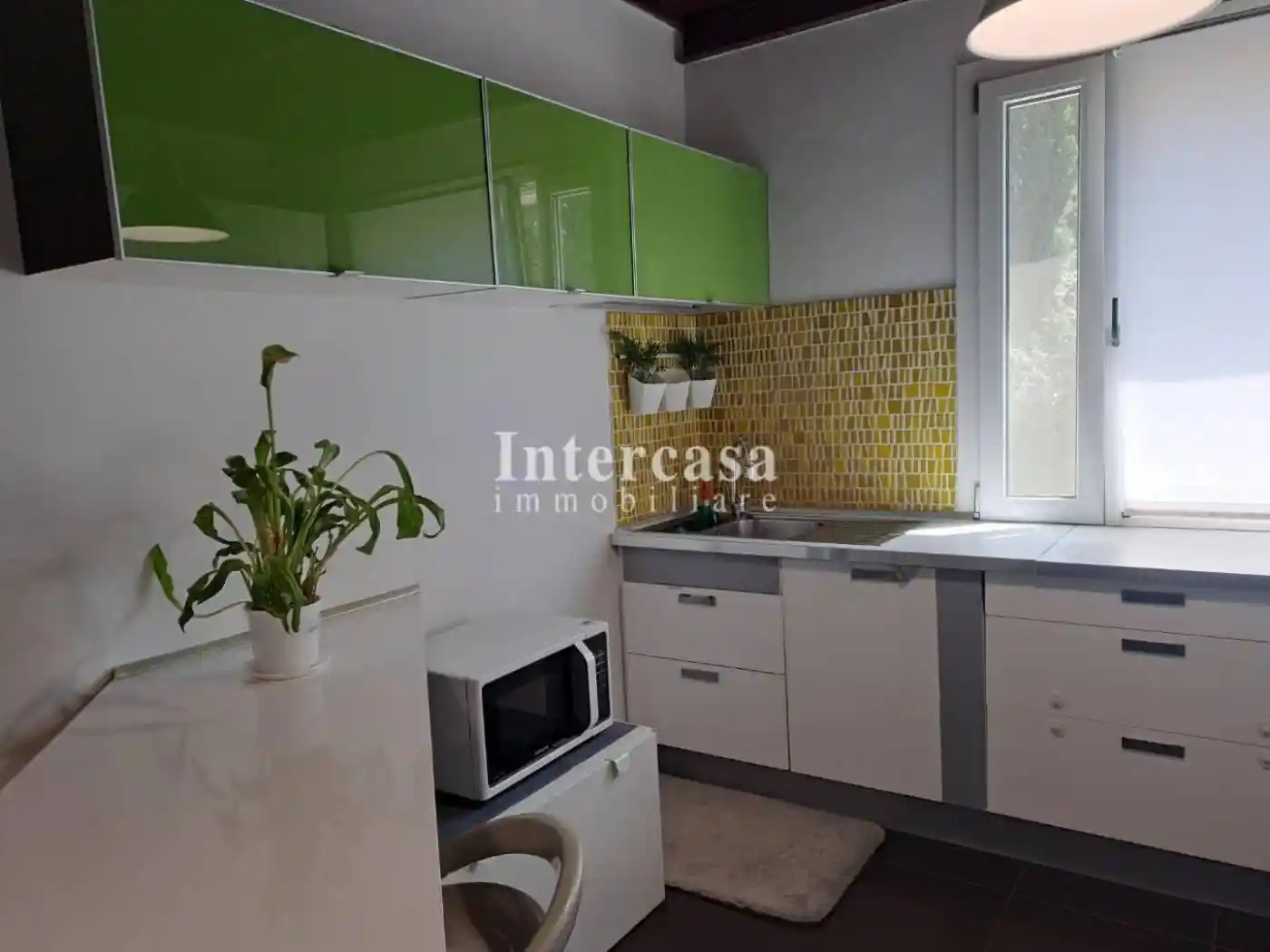 Appartamento in affitto a Pisa